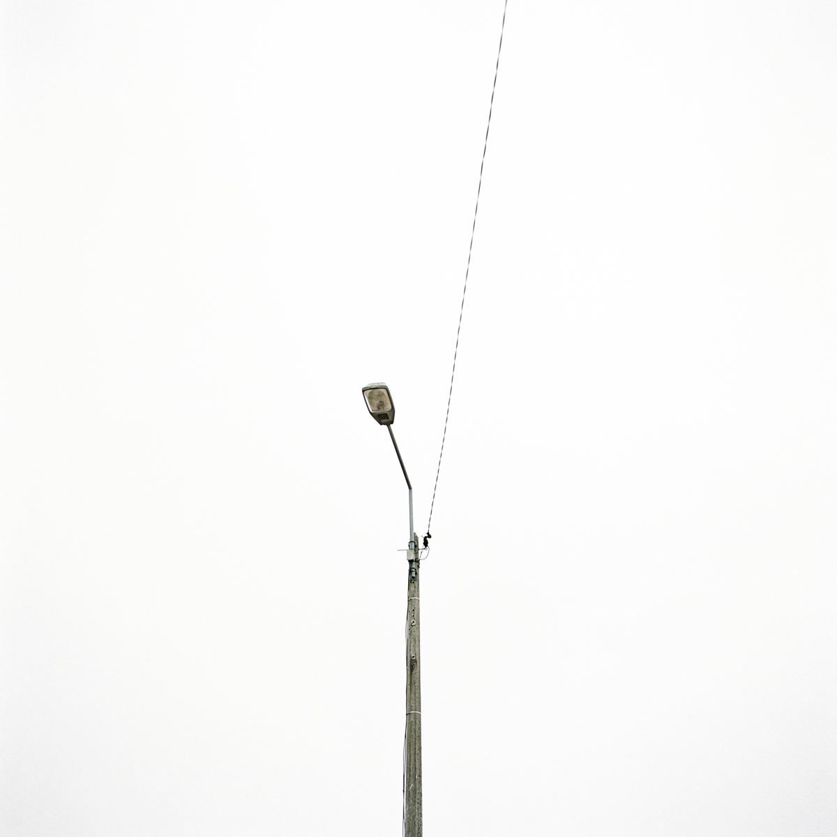 photos lampadaires poteaux electriques tom fish photographe