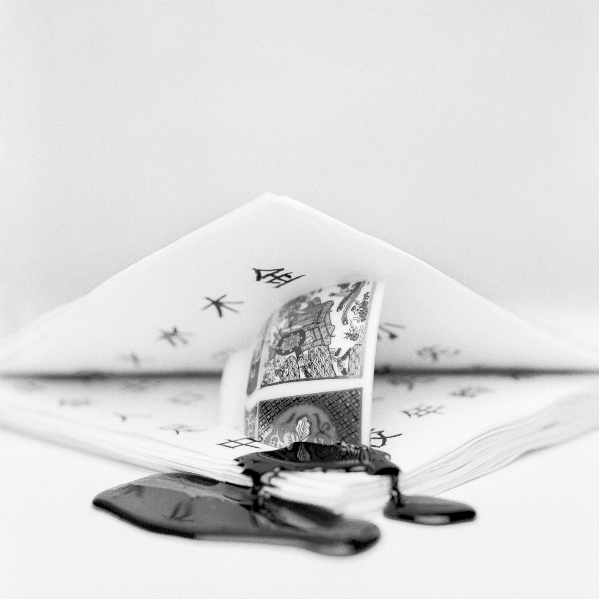 Asie IMAGINAIRE - TOM FISH (1)