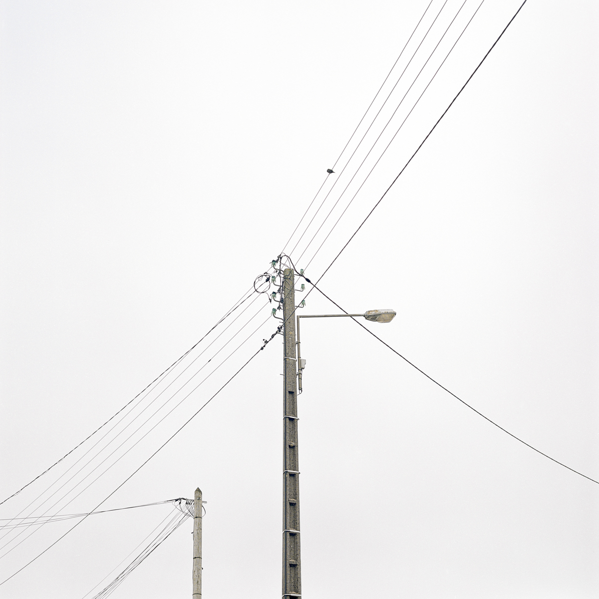 tomfish photographe